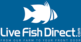 Live Fish Direct