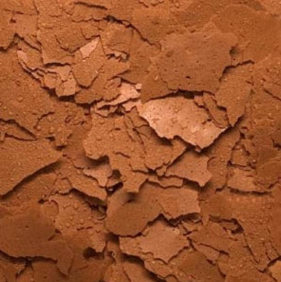Brine Shrimp Flakes 1 Brine Shrimp Flakes