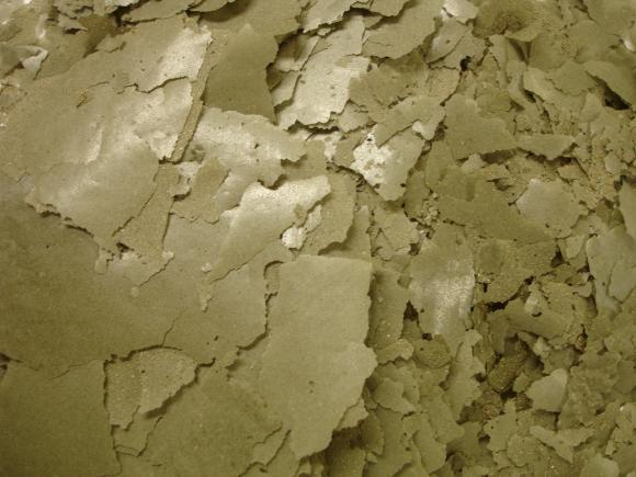 Spirulina Flakes 1 Spirulina Flakes
